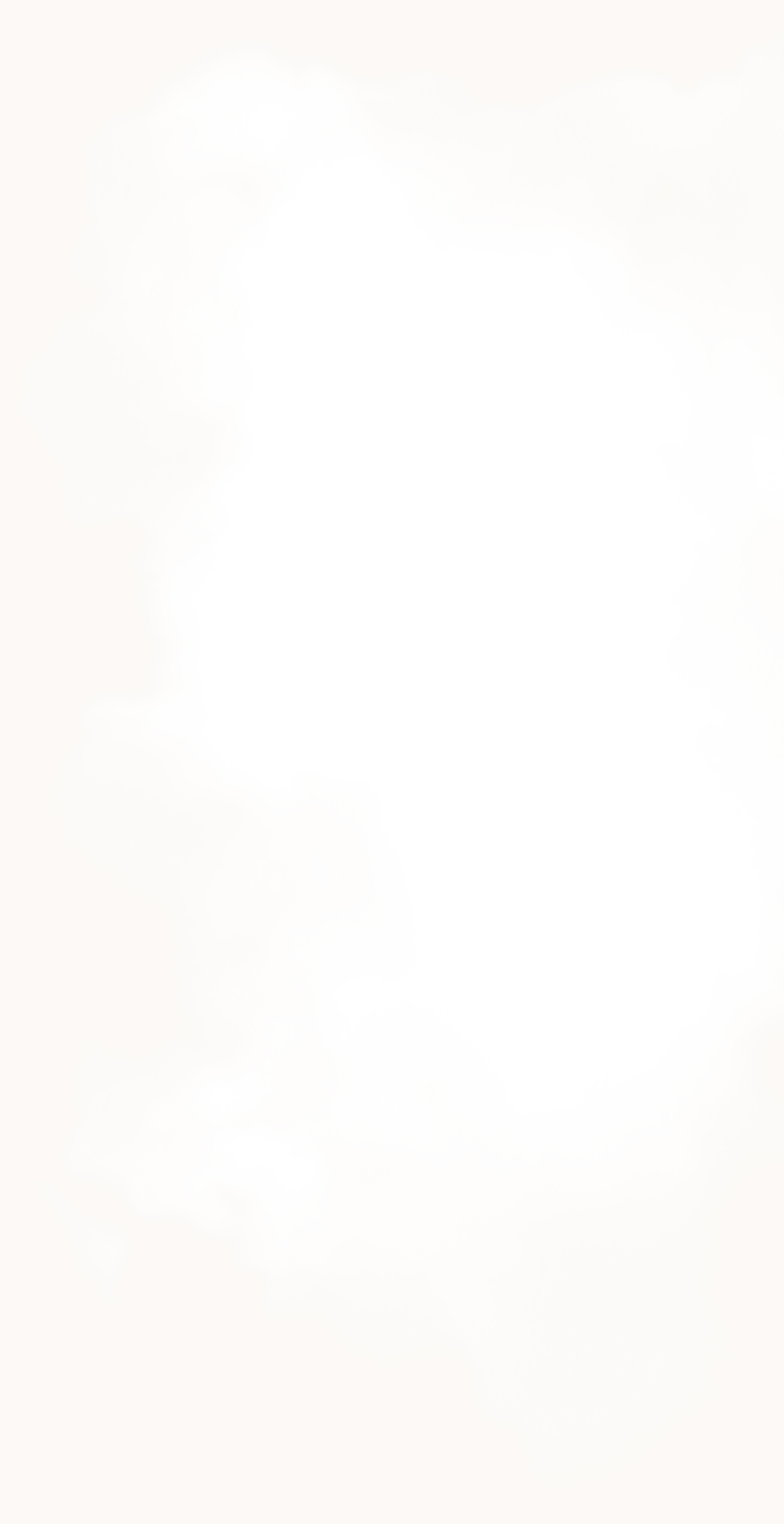 Salvanet 1719